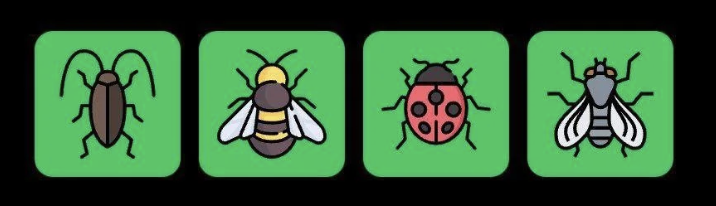 FLIES Daily Combo 9 July 2025